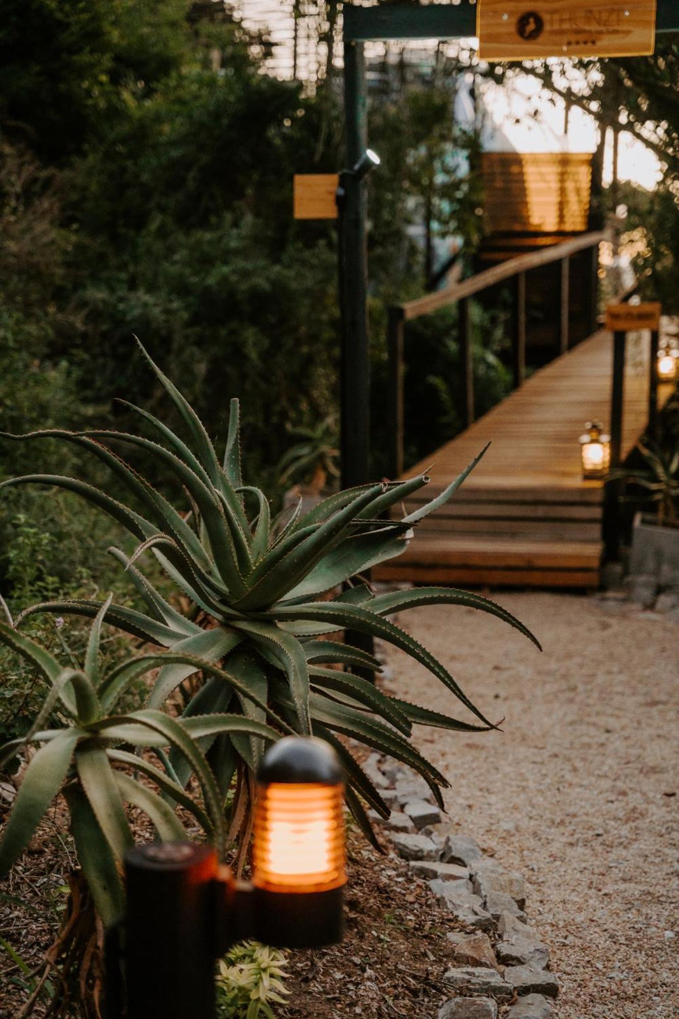 Thunzi Bush Lodge Beachview Dış mekan fotoğraf