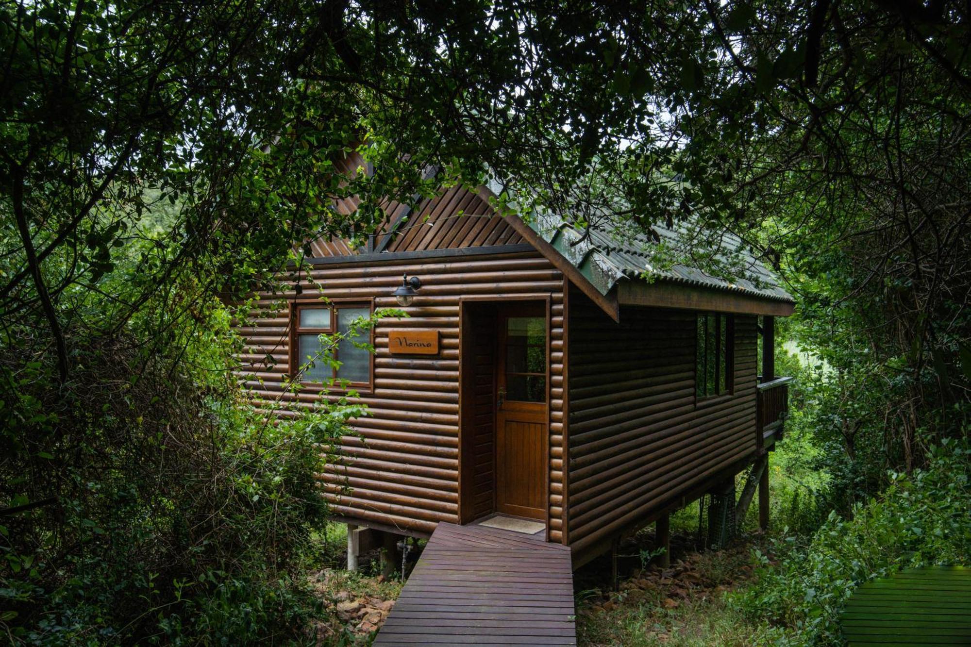 Thunzi Bush Lodge Beachview Dış mekan fotoğraf